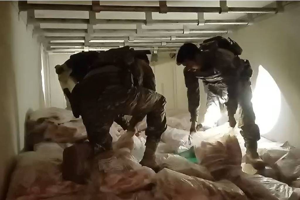 prf aprende 5,3 toneladas de maconha congelada em carga de peixe no interior de sp