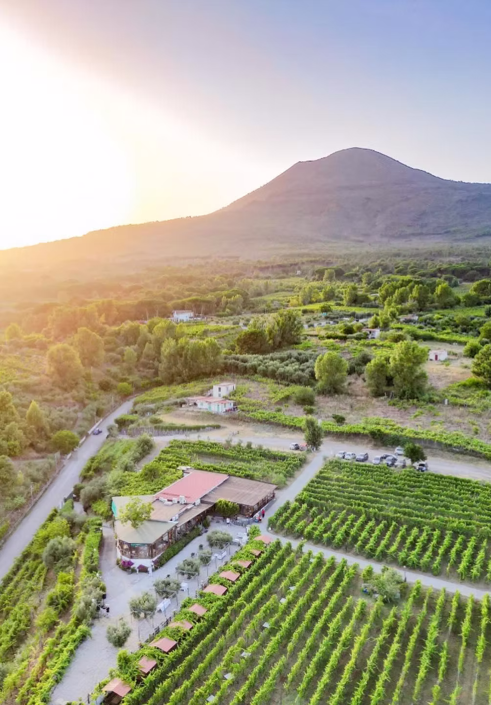 f3df8d 66e5229c1d1f4d1b95e7f28220486aa2~mv2.jpeg