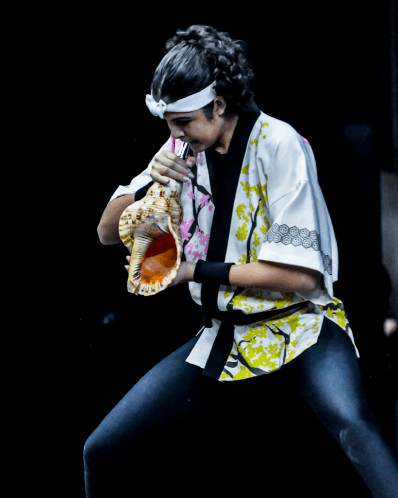 festa junina atracoes 16