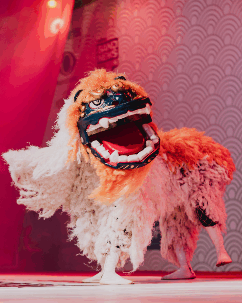 festa junina atracoes 11