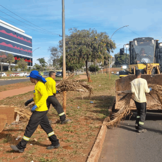 Foto: Divulgação/Administração do Plano Piloto