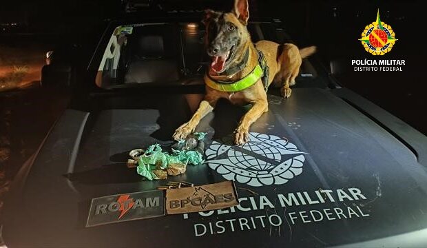 Foto: Divulgação/PMDF