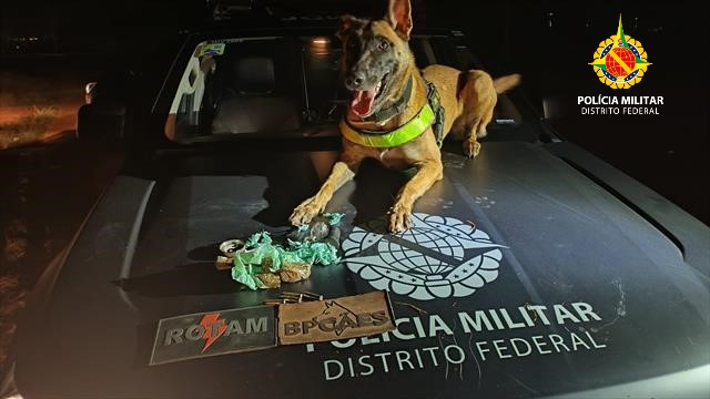 Foto: Divulgação/PMDF
