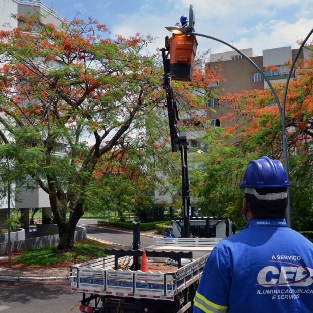 Foto: Gilberto Alves/CEB IPes