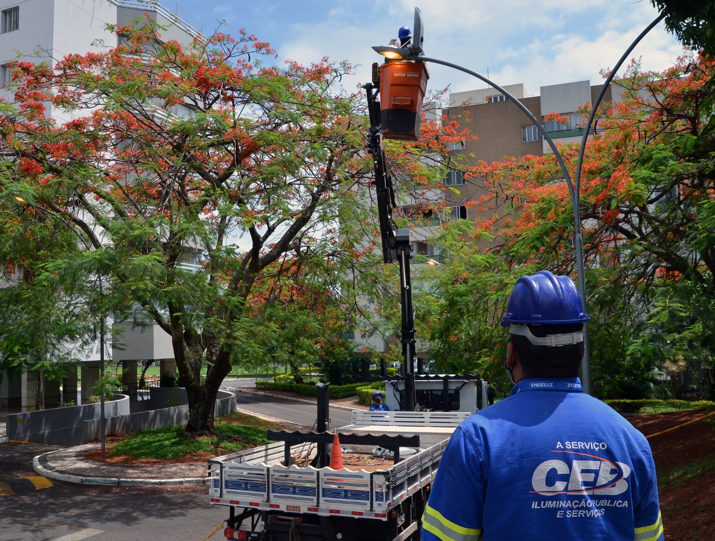 Foto: Gilberto Alves/CEB IPes