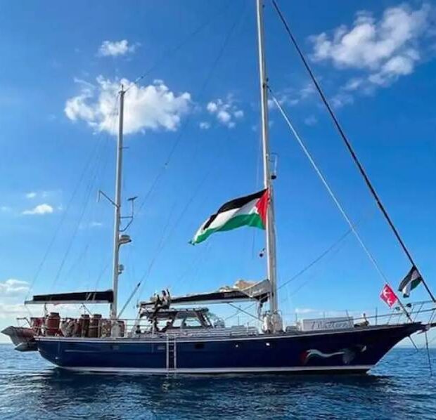 libertação de ativistas detidos em gaza