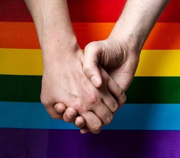 casamento homoafetivo