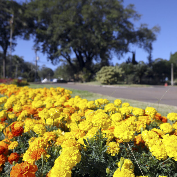 Foto: Lúcio Bernardo Jr./Agência Brasília