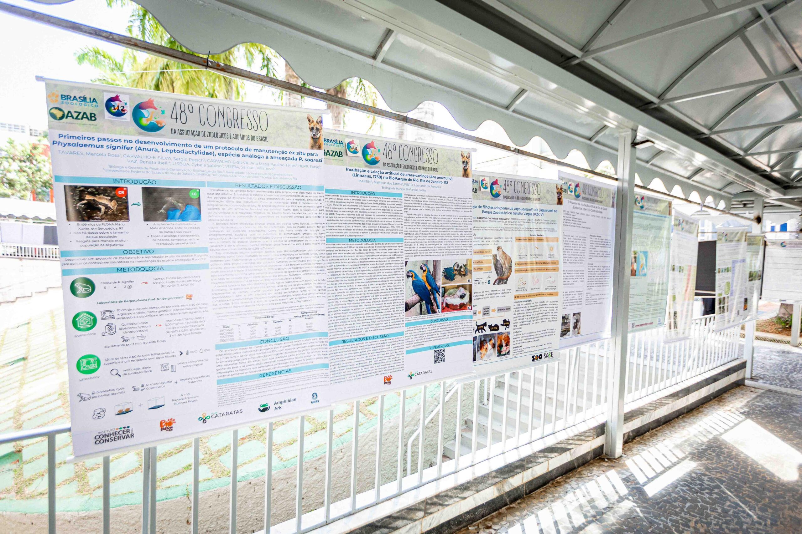 zoologico congresso