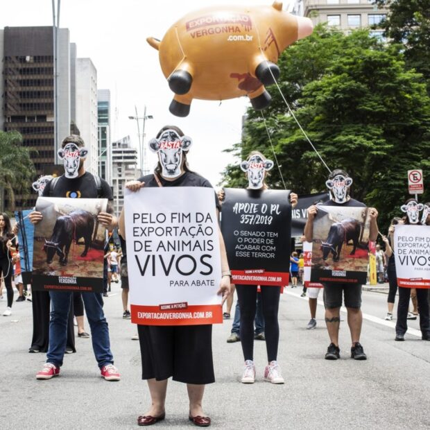 mfa 15 12 avpaulista fotosflenz2 1200x900