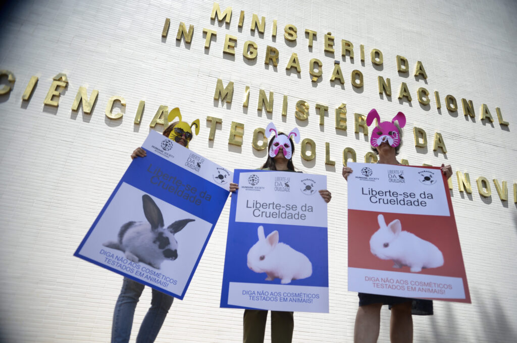protesto animais