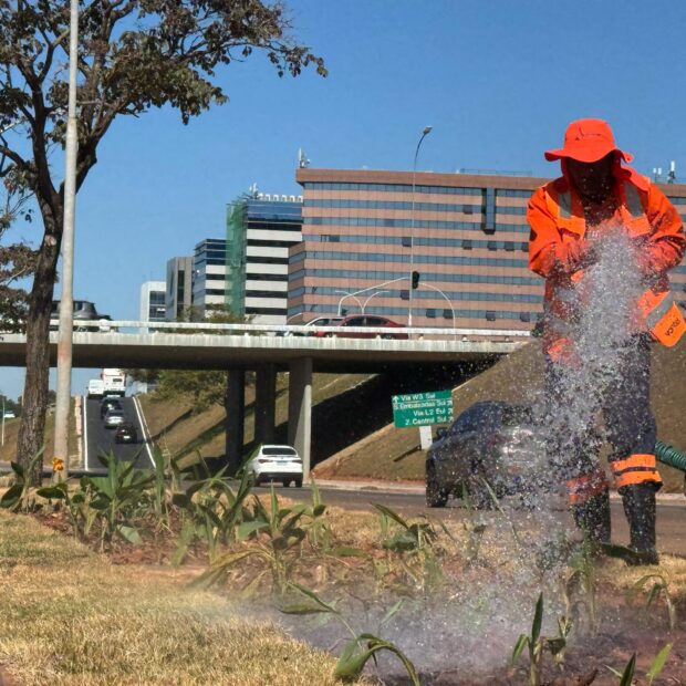 Foto: Kiko Paz/Novacap