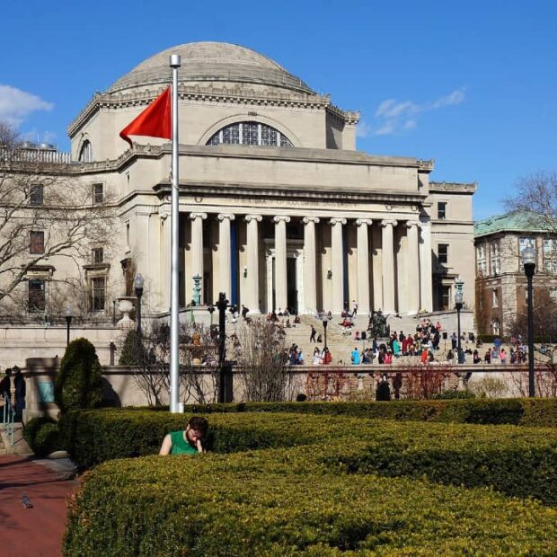 imagem do whatsapp de 2025 06 12 à(s) 10.13.30 02b14dd6