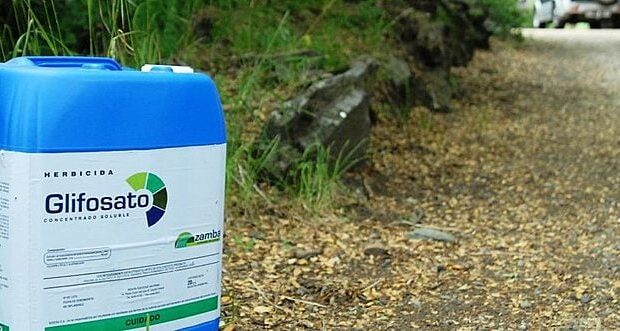 Foto: Formad/Divulgação