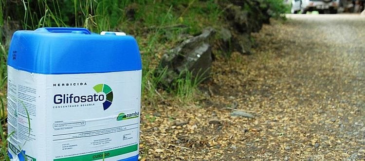 Foto: Formad/Divulgação