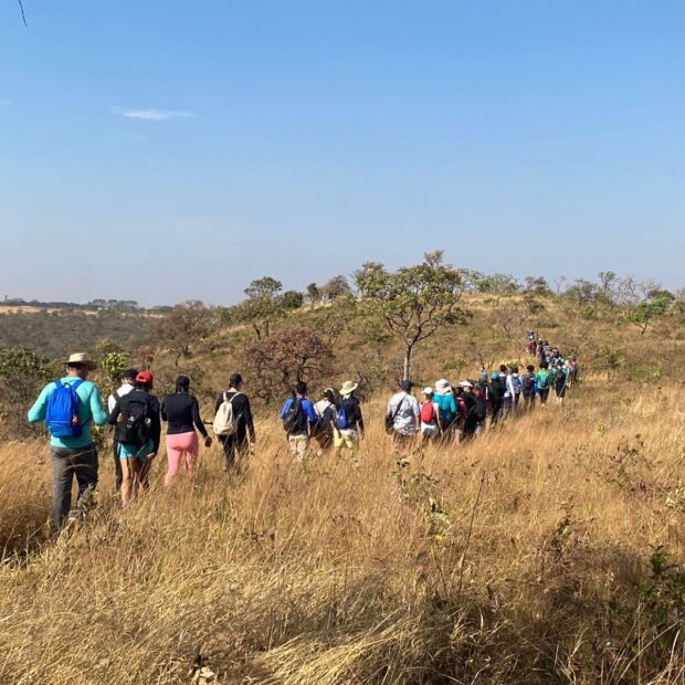 Foto: Divulgação/Sema-DF