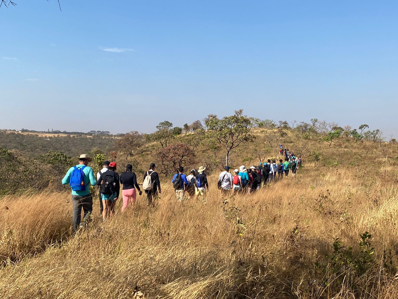 Foto: Divulgação/Sema-DF