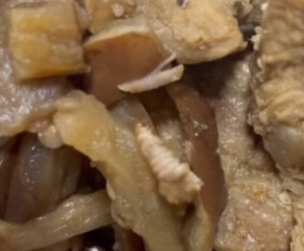 1749860825684cc1d96697d 1749860825 3x2 md