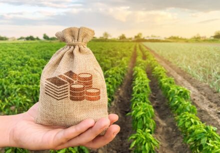 credito rural agro