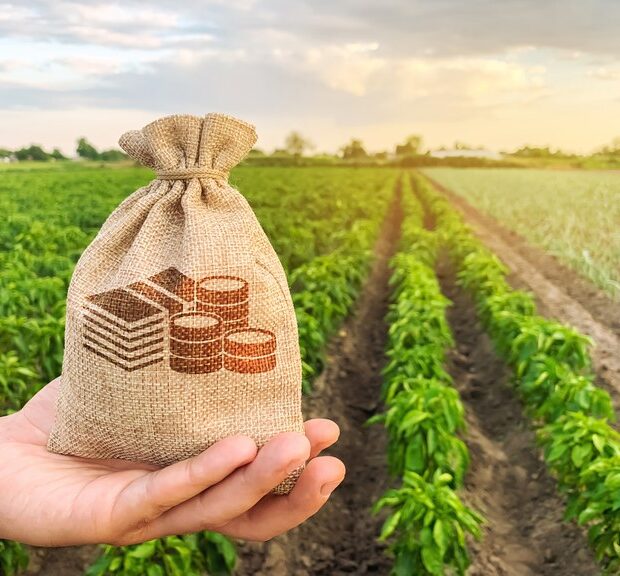 credito rural agro