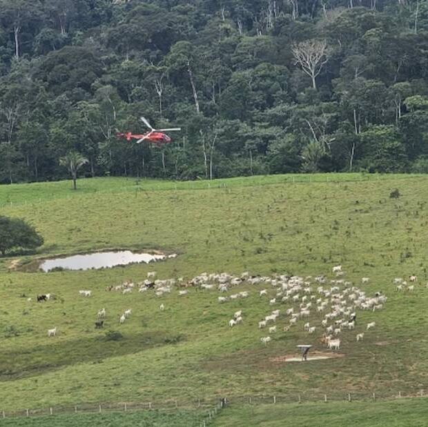 agentes do icmbio sofrem atentados