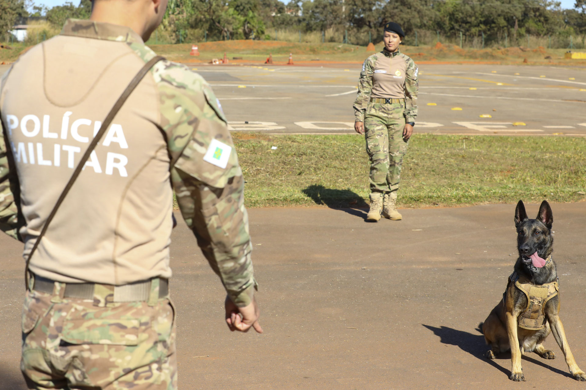 Foto: Paulo H. Carvalho/Agência Brasília