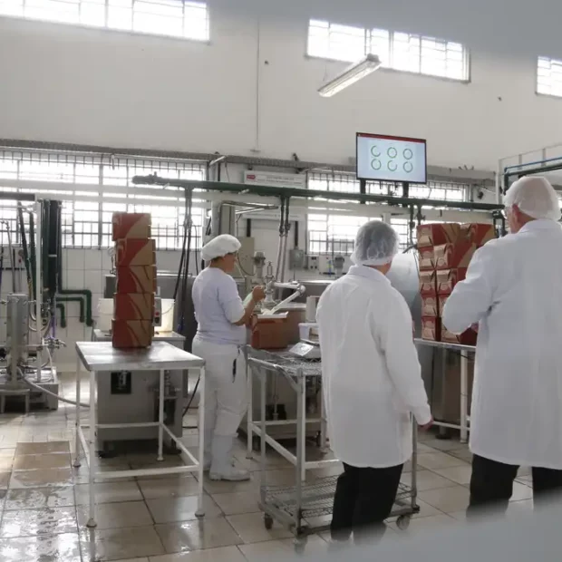 descarbonizacao industria