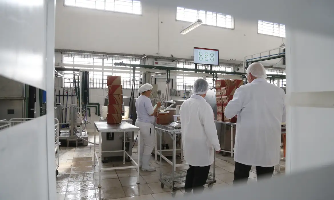 descarbonizacao industria