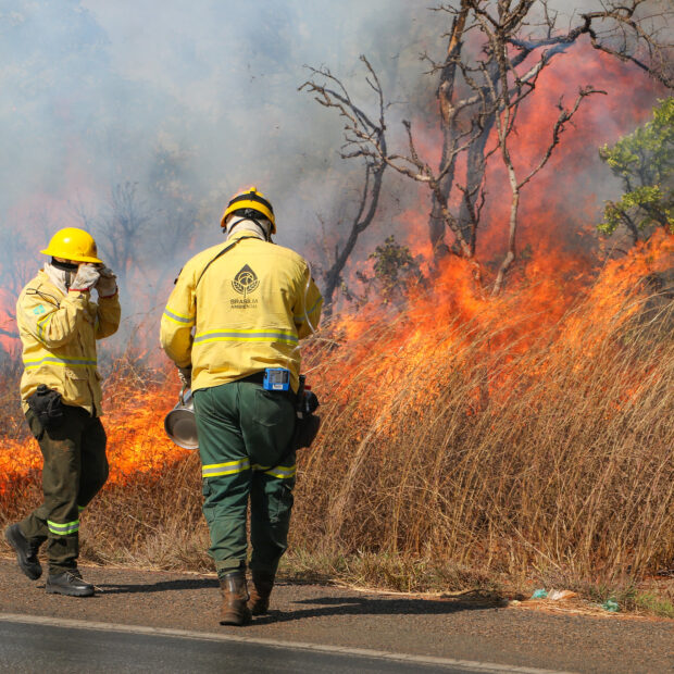 Foto: Matheus H. Souza/Agência Brasília