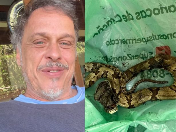Ator veterano levou susto daqueles após ser atacado por cobra venenosa no quintal e precisou correr para o hospital. Ele ainda deu dica inusitada: "Tem que levar a cobra junto! "