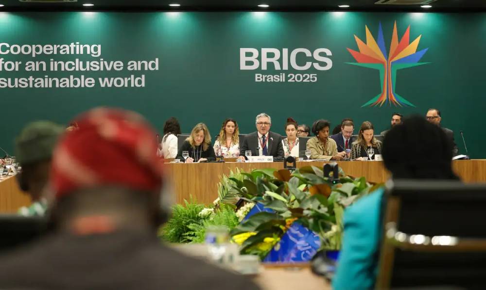 brics padilha