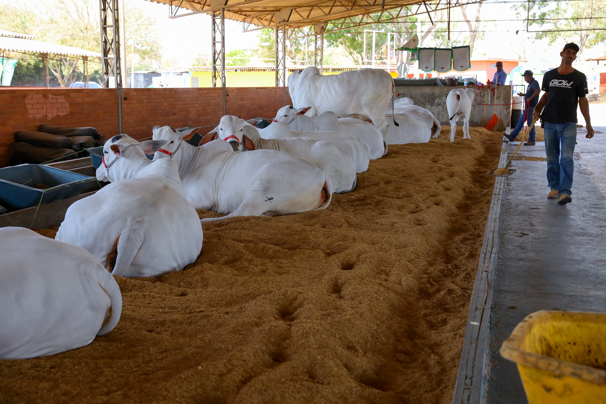Foto: Paulo H. Carvalho/Agência Brasília
