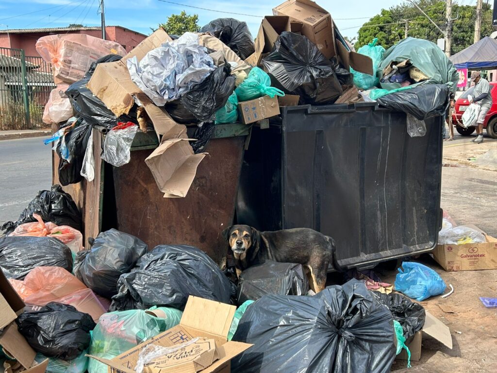 Foto: Daniel Xavier/Jornal de Brasília