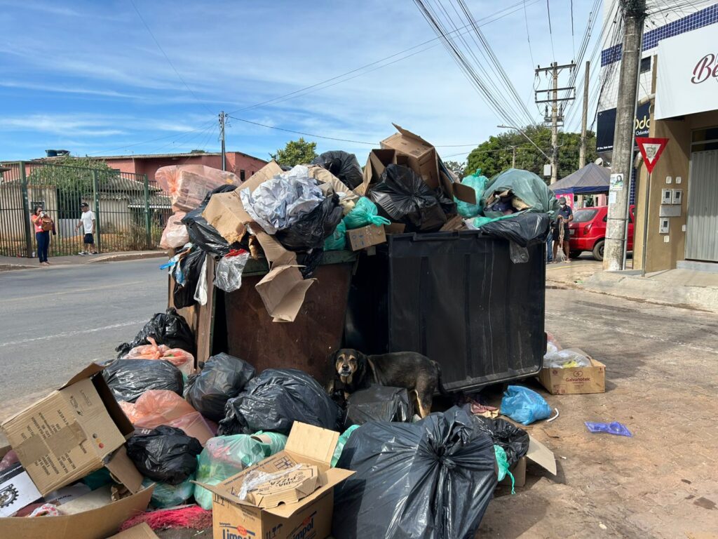 Foto: Daniel Xavier/Jornal de Brasília