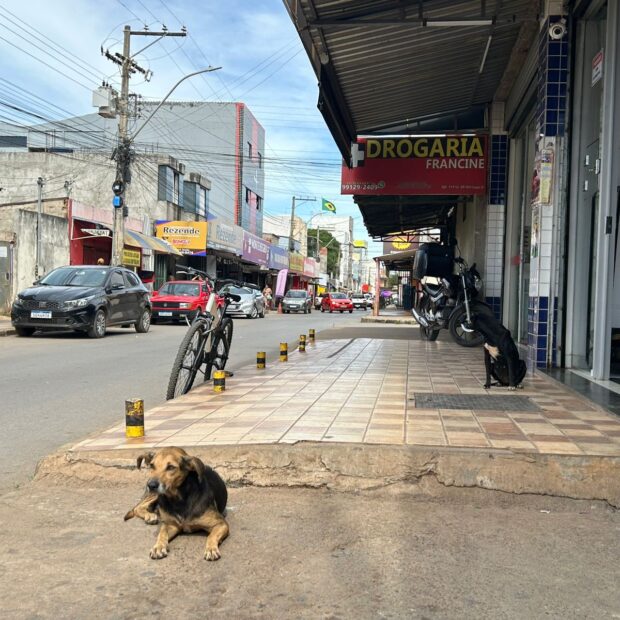 Foto: Daniel Xavier/Jornal de Brasília