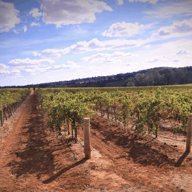 captura de ecraÞ 2025 06 12, aìs 09.24.45