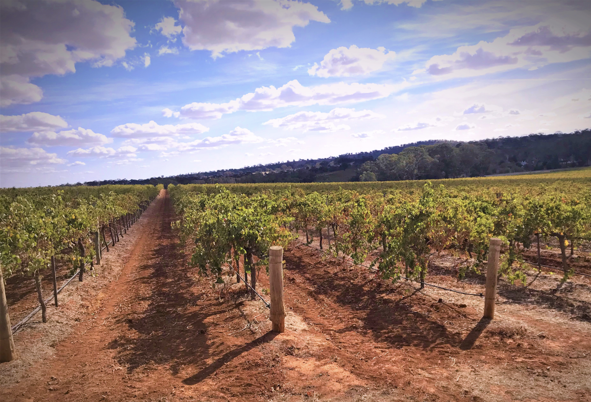 captura de ecraÞ 2025 06 12, aìs 09.24.45