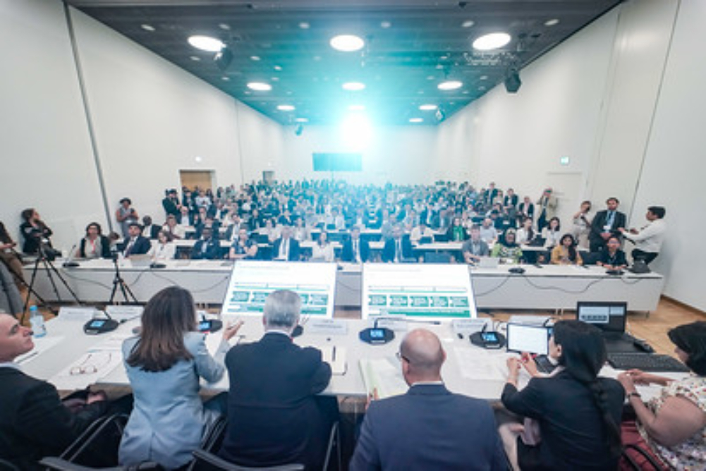 agenda de ação unificada para cop30 (alemanha).