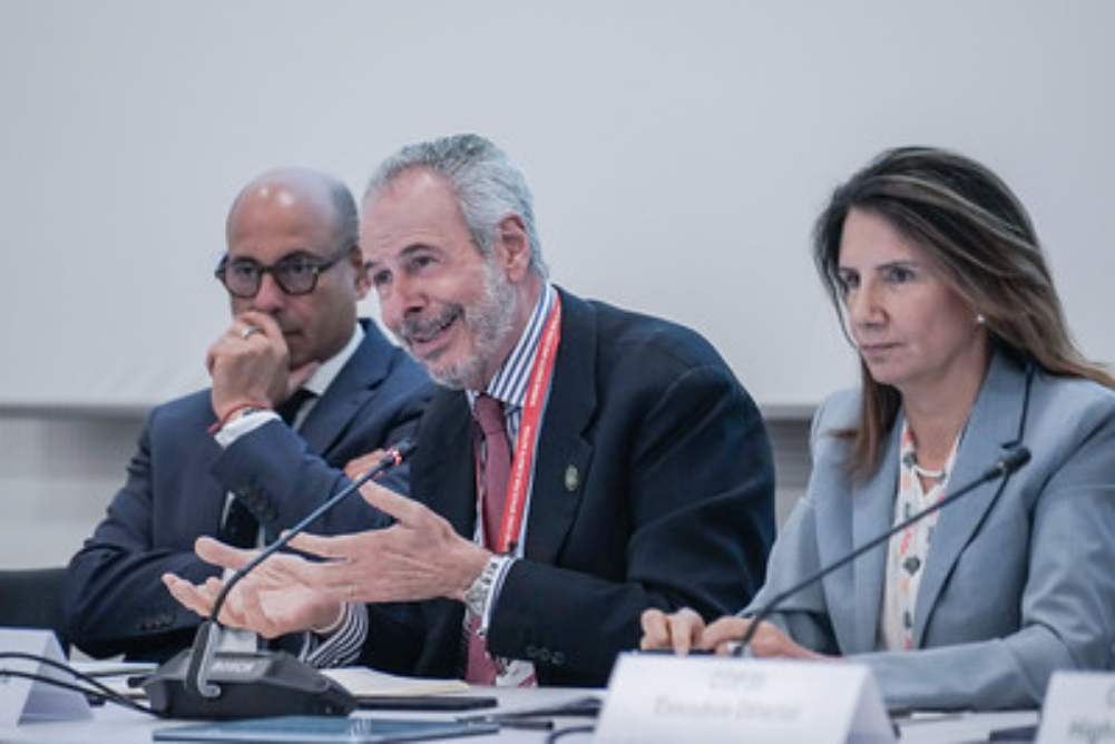 agenda de ação unificada para cop30 (alemanha). (1)