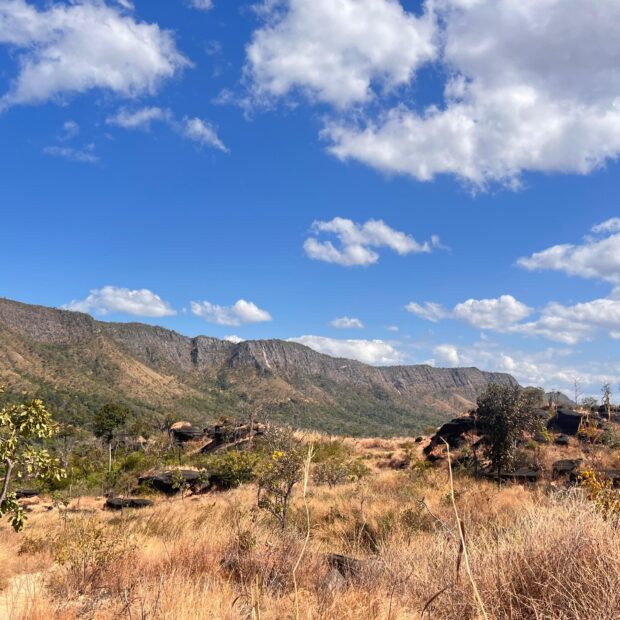 Foto: Divulgação/Sema-DF