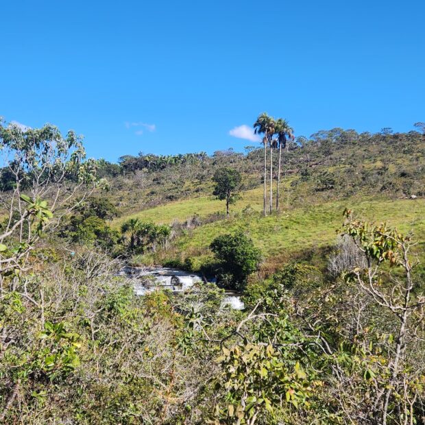 Foto: Divulgação/Sema-DF