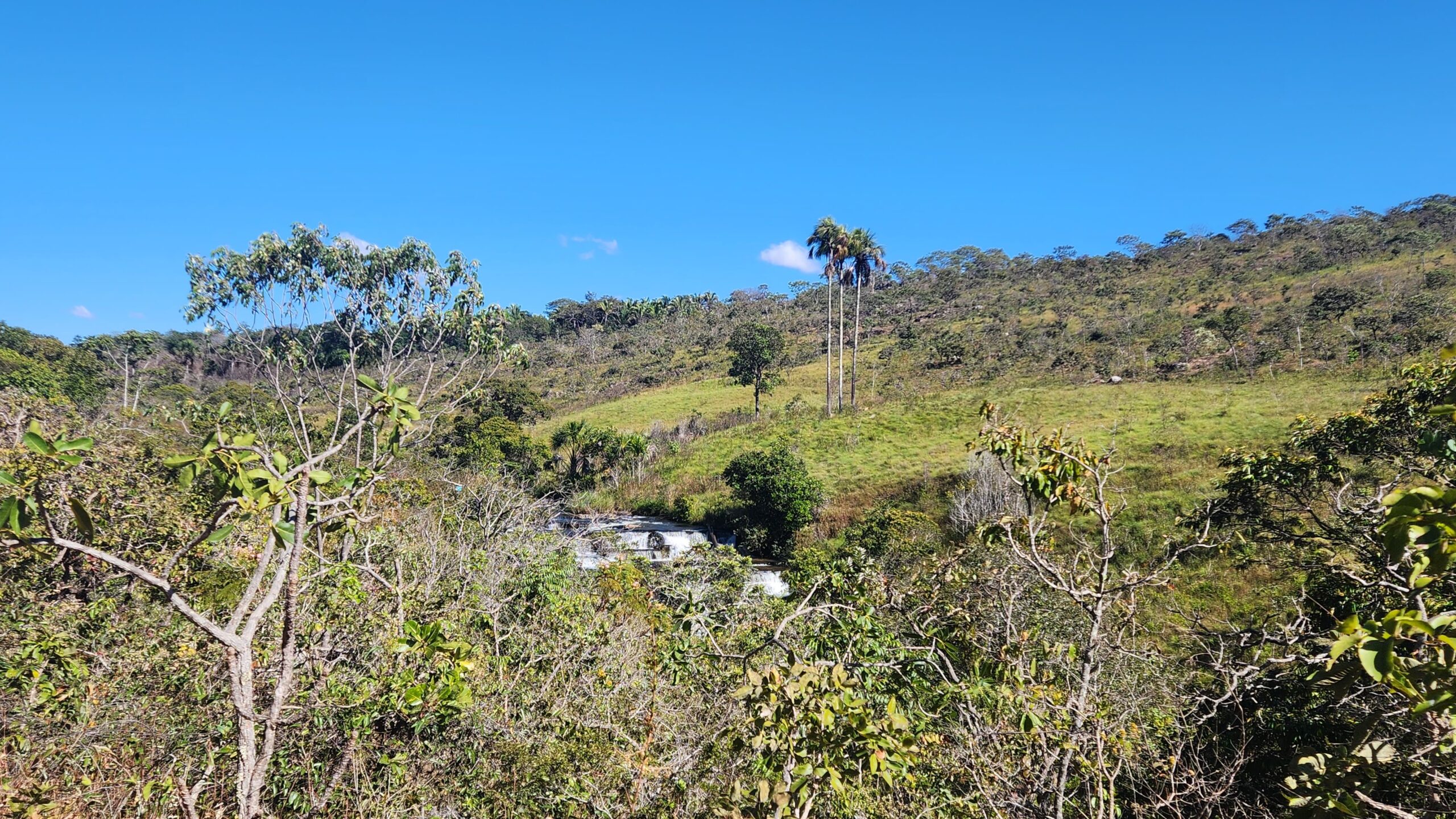 Foto: Divulgação/Sema-DF