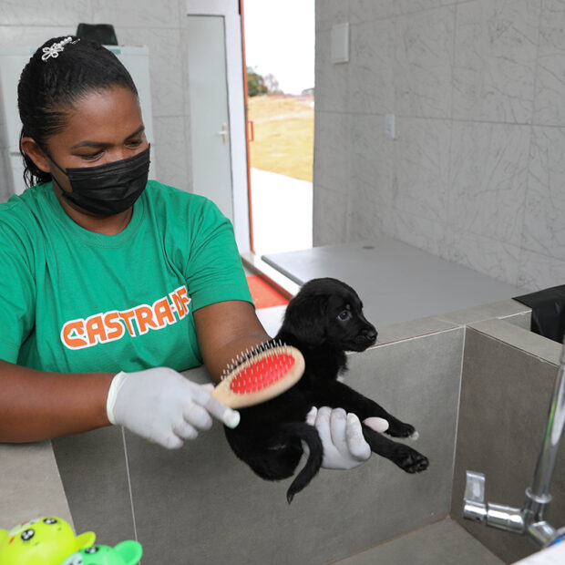 Foto: Lúcio Bernardo Jr./Agência Brasília