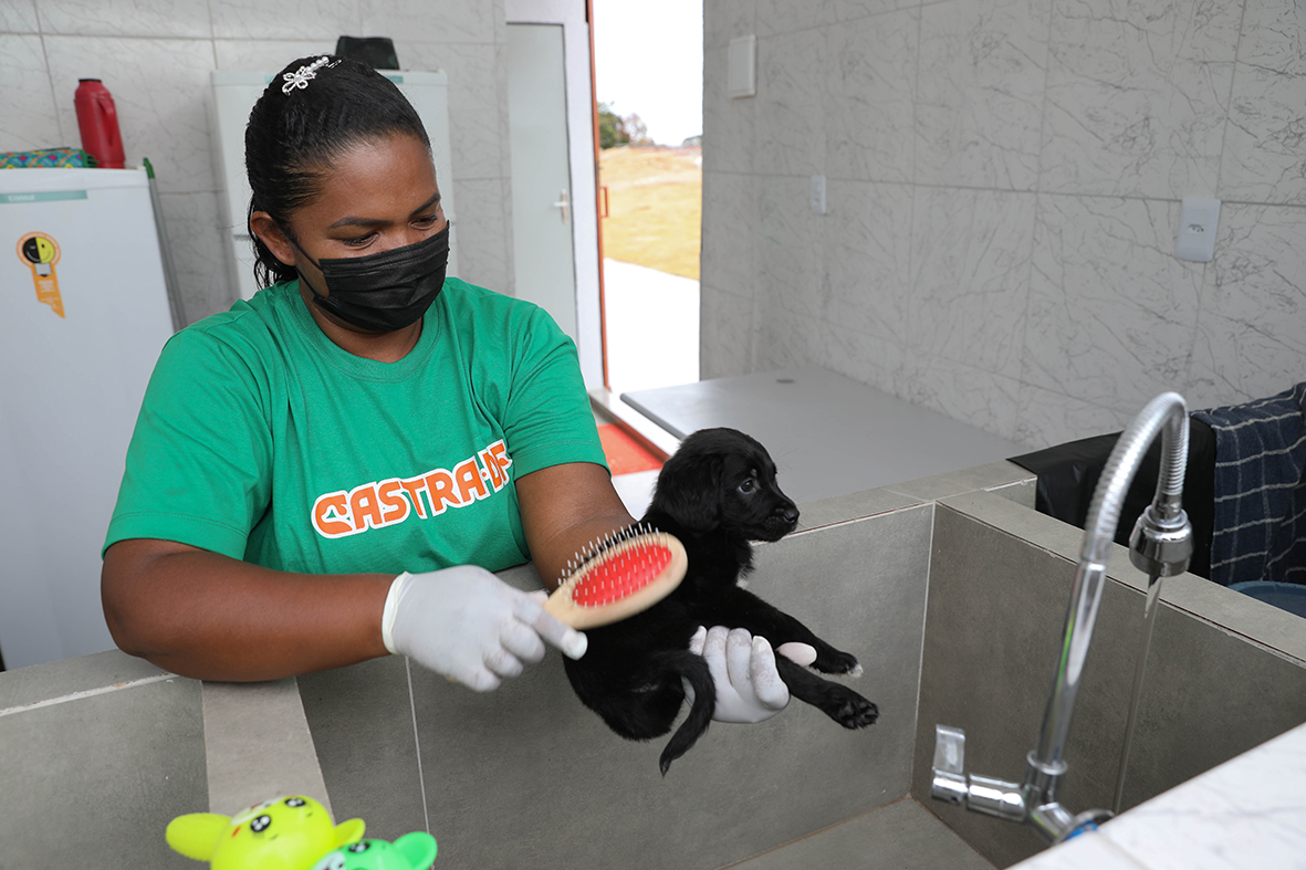 Foto: Lúcio Bernardo Jr./Agência Brasília