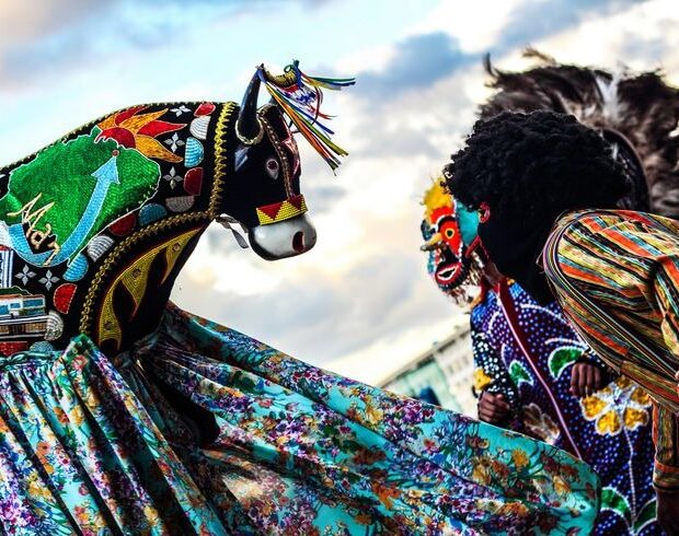 Foto: Divulgação/Secec-DF