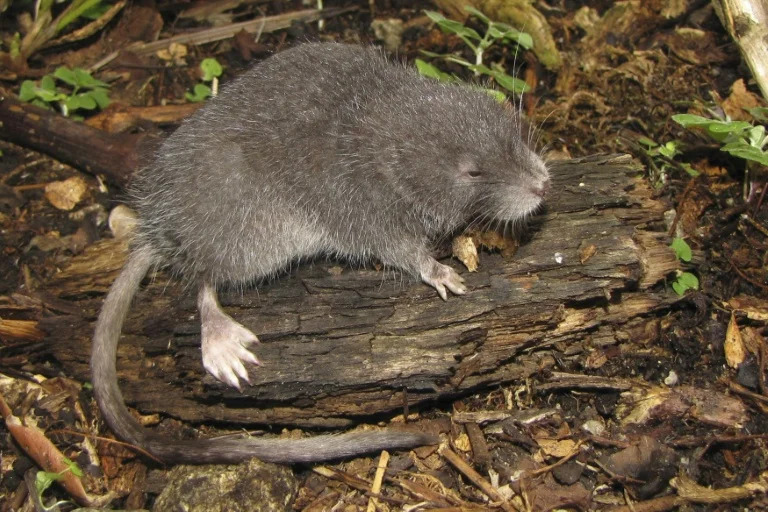 8743867a12105594ea65707e600c437c18b099e8