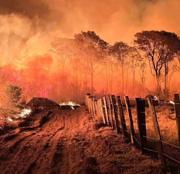 pantanal incêndio