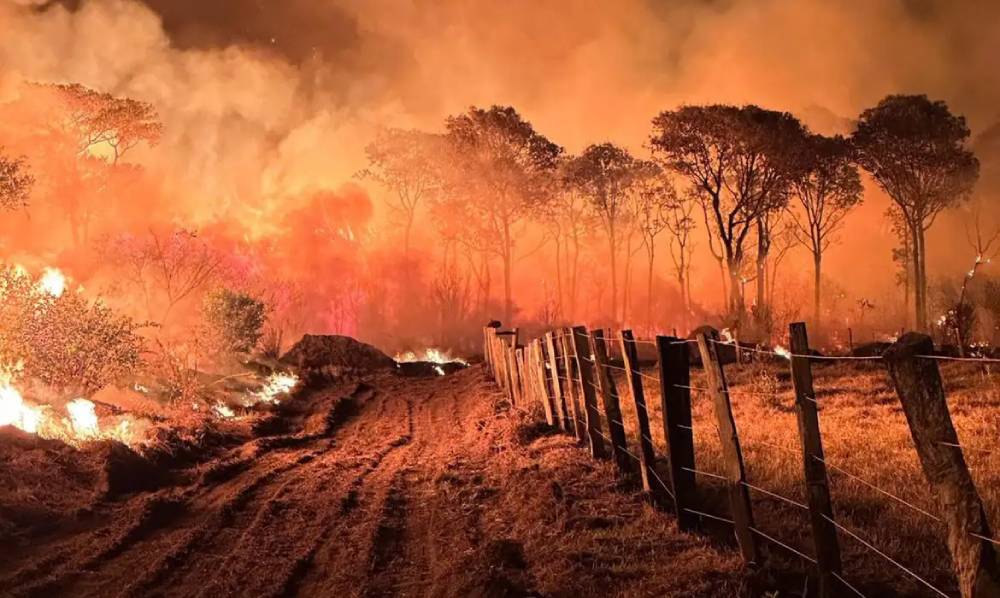 pantanal incêndio
