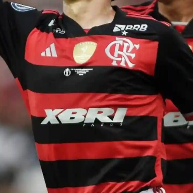 imagem do whatsapp de 2025 06 25 à(s) 15.28.48 b5457fa9
