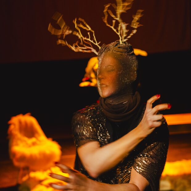 galhada foto diego bresani dsc1460